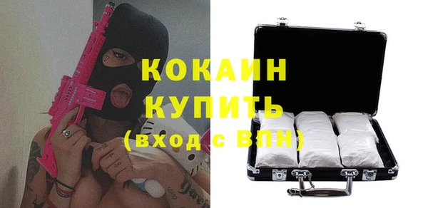 стафф Гусев