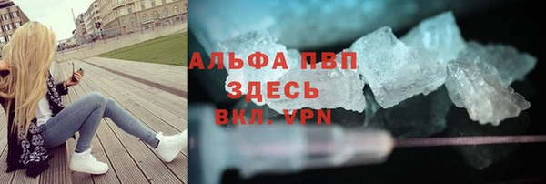 стафф Гусев
