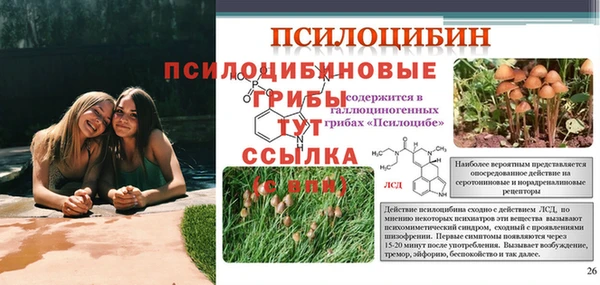 альфа пвп Слюдянка